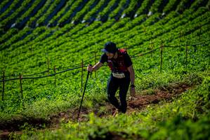 BIB: 3041
                            <button type="button" onclick="openModal(19160965)" class="btn btn-primary btn-sm float-right btn-popup" data-toggle="modal" data-target=".modal-high-quality">
                        <i class="fas fa-shopping-cart"></i> Add to Cart
                    </button>
                                            <button type="button" onclick="isThisMe(19160965, true)" class="btn btn-success btn-sm float-right btn-popup btn-isme hidden" data-toggle="tooltip" data-placement="bottom" title="นี่คือรูปของคุณใช่ไหม คลิกที่นี่เพื่อเอาเข้าอัลบั้ม">
                        <i class="fas fa-plus"></i> Add to album
                    </button>
                    <button type="button" onclick="isThisMe(19160965, false)" class="btn btn-warning btn-sm float-right btn-popup btn-isnotme hidden">
                        <i class="fas fa-ban"></i> Remove from album
                    </button>